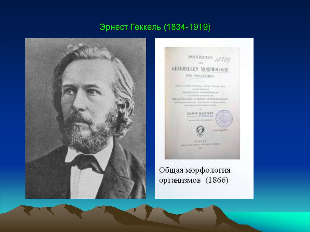 Эрнест Геккель (1834-1919)