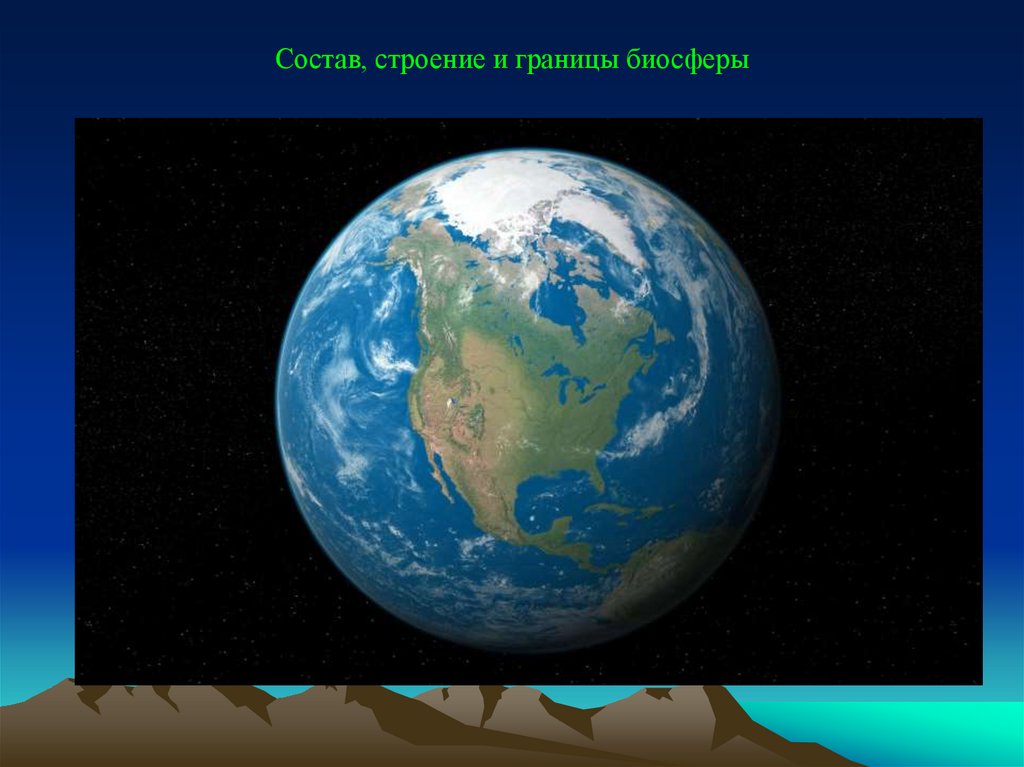 Состав, строение и границы биосферы