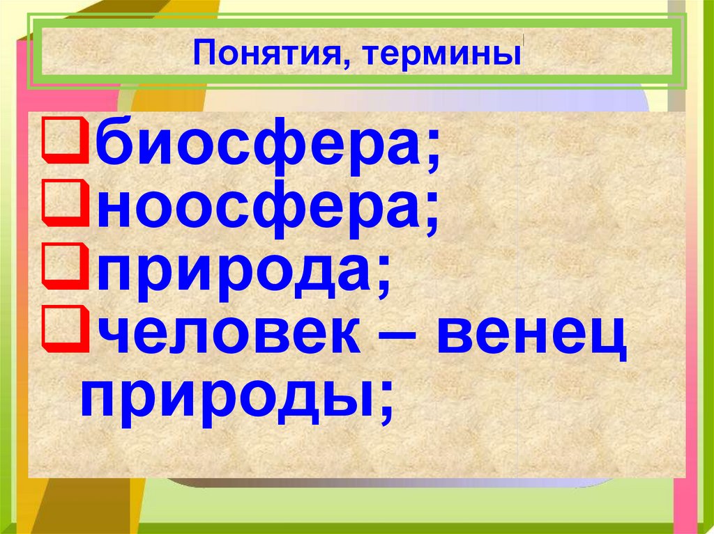 Понятия, термины