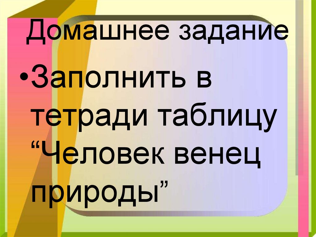 Домашнее задание