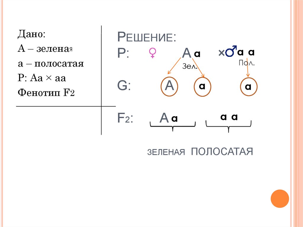 Схема скрещивания анализирующего скрещивания