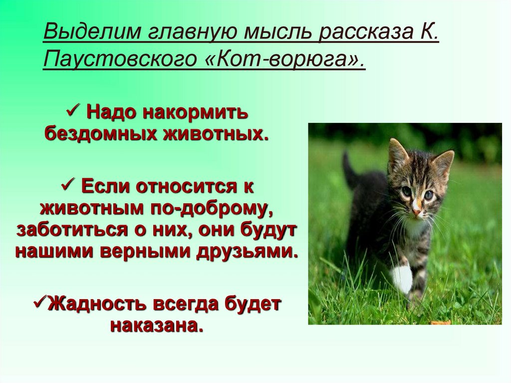 Рассказ кот. План кот ворюга 3 класс. План 3 класс кот ворюга Паустовский. Кот-ворюга Паустовский план рассказа 3. Кот-ворюга Паустовский Главная мысль рассказа.