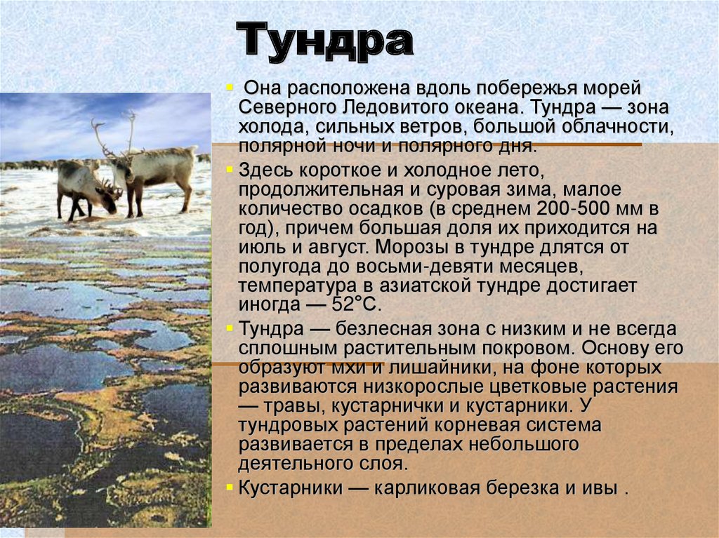 Природные условия тундры. Природные зоны России тундра. Природные зоны России презентация. Природные зоны Швеции.