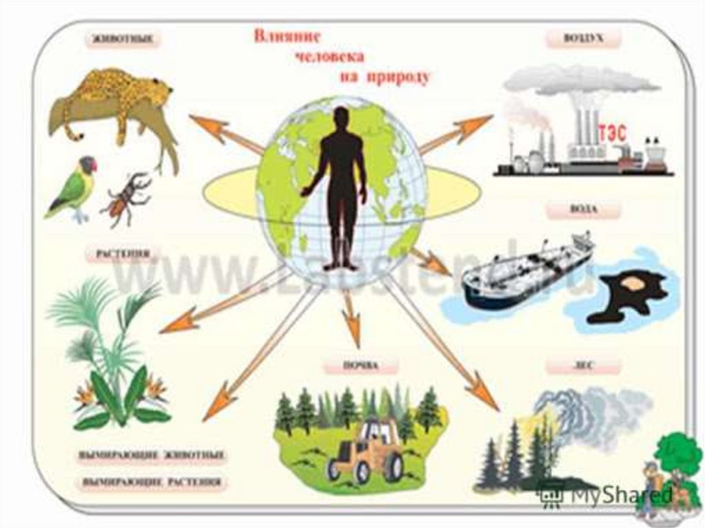 Человек на земле 5 класс биология. Воздействие человека на природу. Влияние человечества на природу. Влияние человека на природу. Факторы влияния человека на природу.