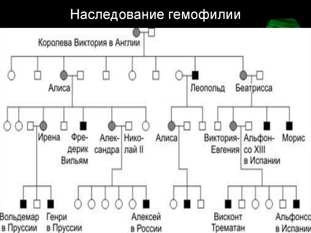 Схема наследования гемофилии