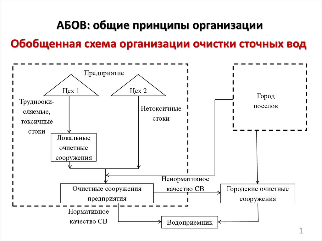 Принципы организации презентация