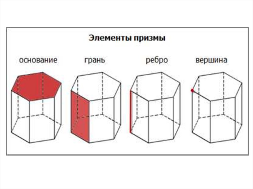 Сколько оснований у призмы