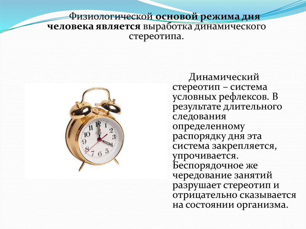 Работоспособность режим дня презентация