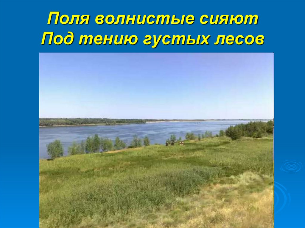 Поля волнистые сияют Под тению густых лесов