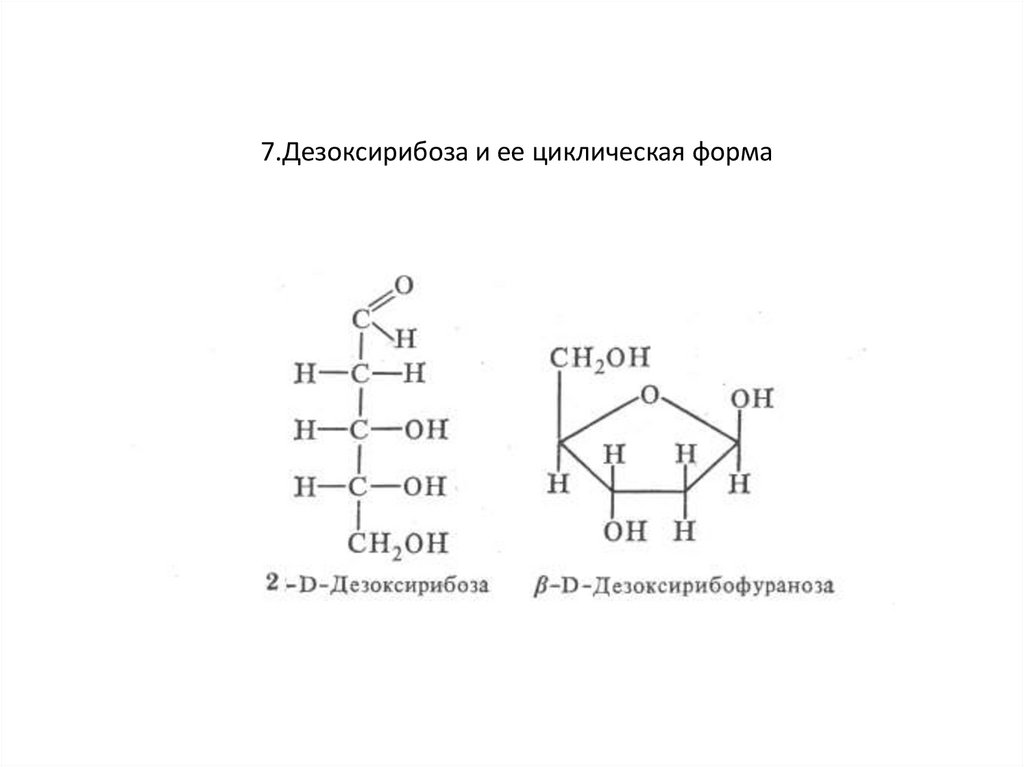 Дезоксирибоза