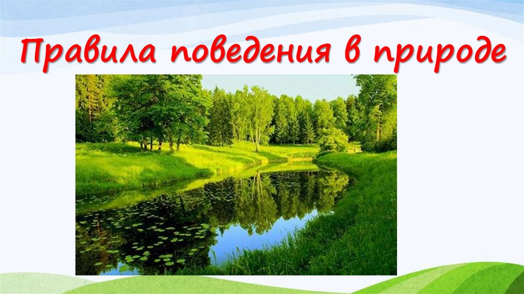 Презентация природа онлайн