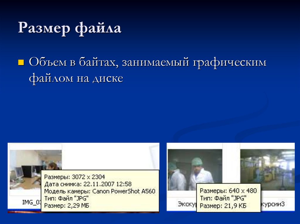 Размер файла