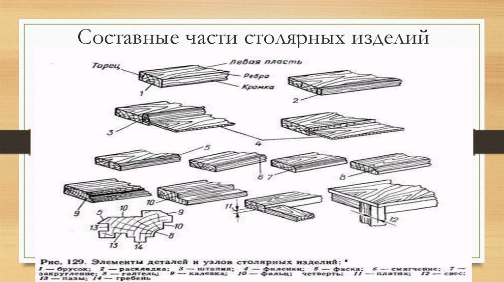 Основные составные части знаний