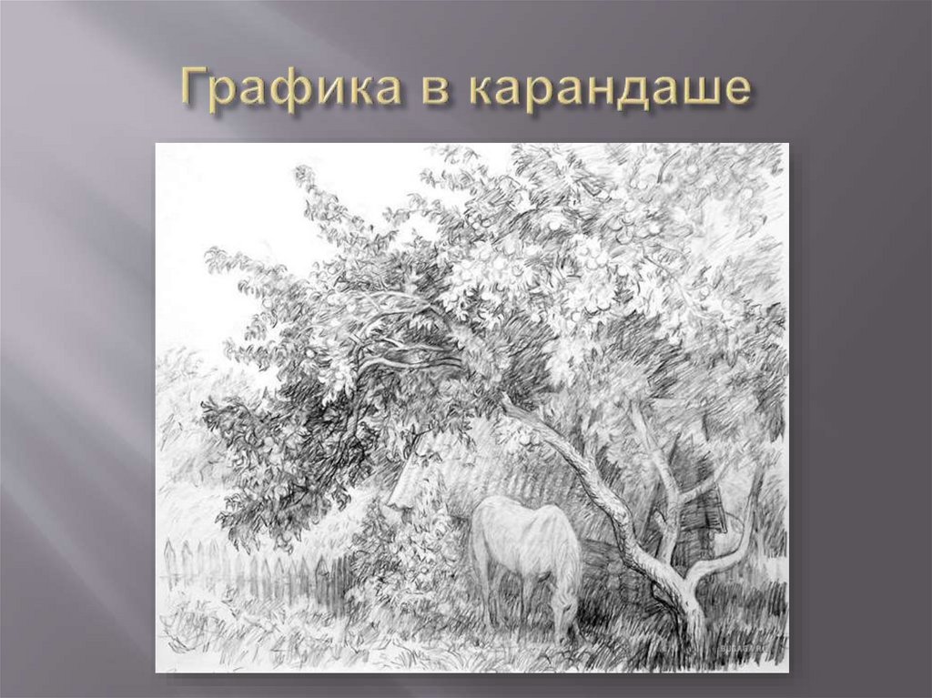 Виды графики карандашом. Графика карандашом презентация. Графика карандашом 6 класс. Графика карандашом 8 класс. Проект по изо 6 класс на тему пейзаж в графике.