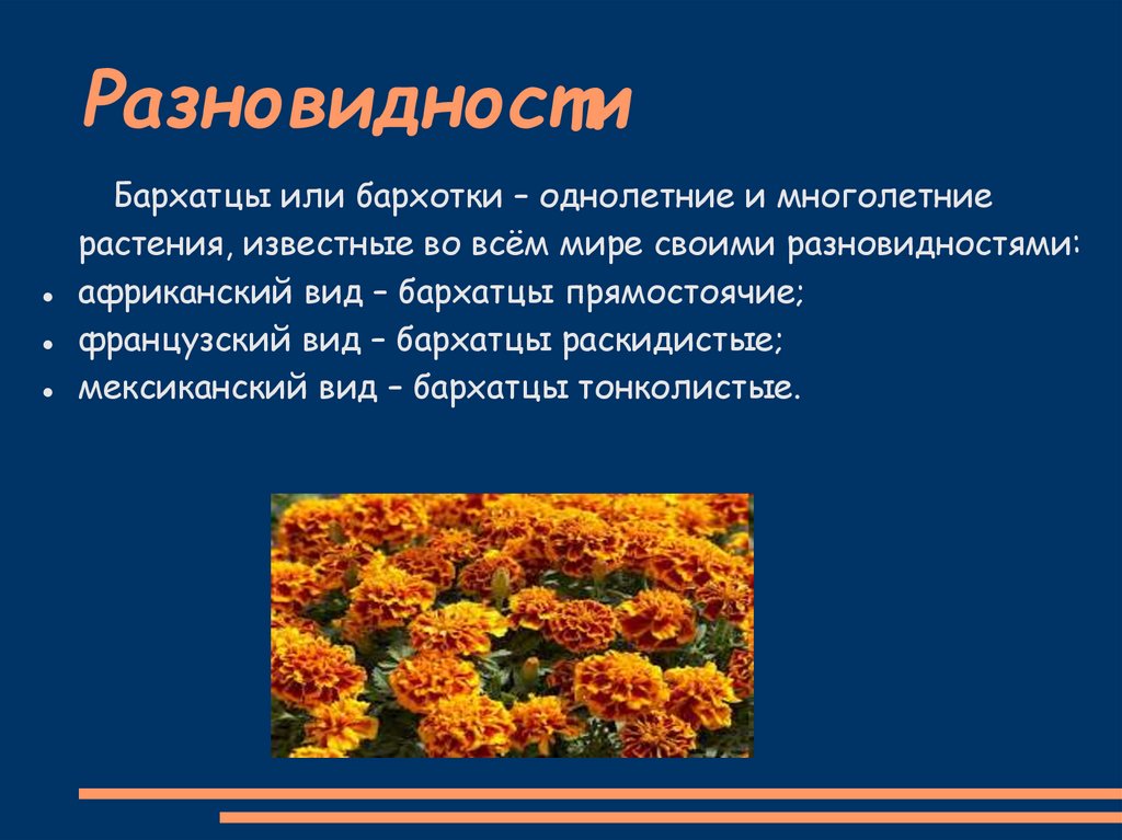Разновидности