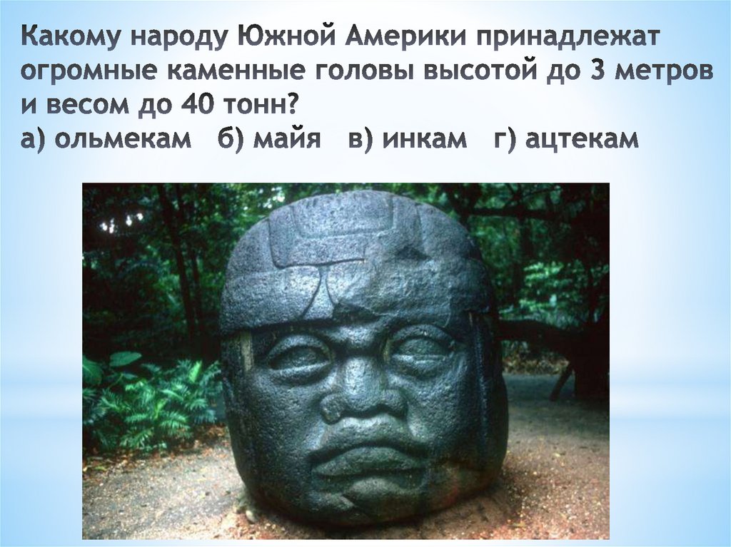 Какому народу Южной Америки принадлежат огромные каменные головы высотой до 3 метров и весом до 40 тонн? а) ольмекам   б) майя