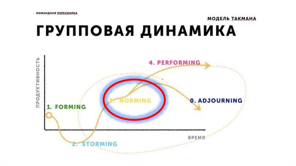 Жизненный цикл команды проекта