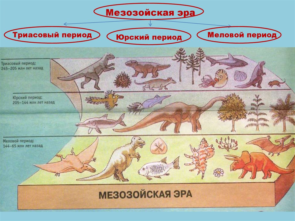 Появление динозавров эра. Динозавры периоды существования. Периоды жизни динозавров. Эры динозавров и периоды таблица. Периоды жизни динозавров на земле таблица.