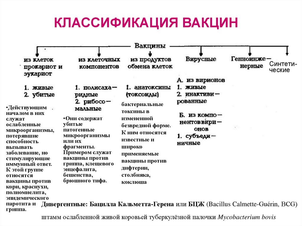 Классификация вакцин презентация