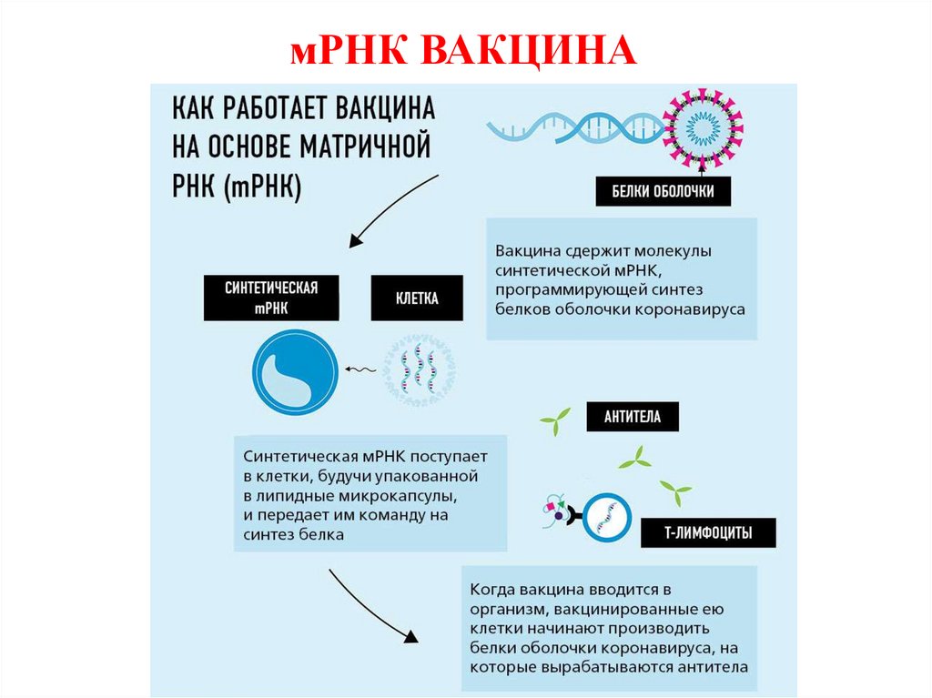 мРНК ВАКЦИНА
