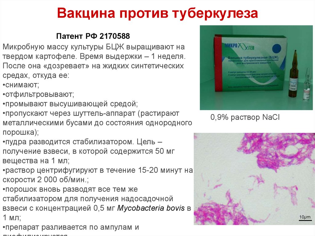 Вакцина против туберкулеза