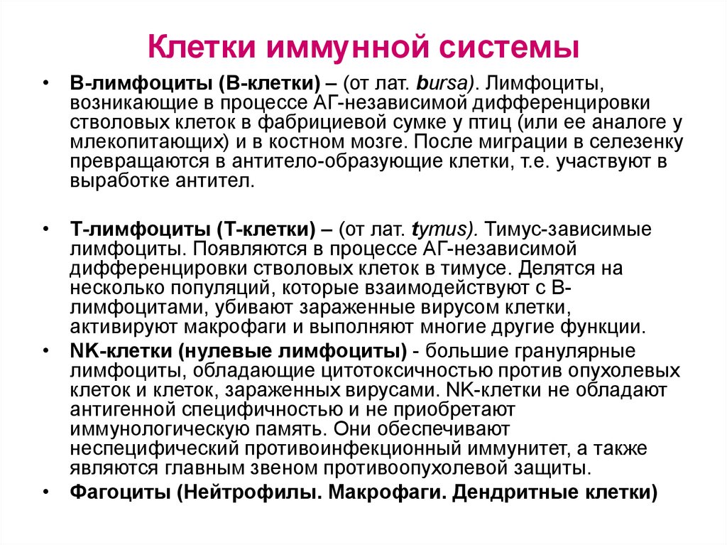 Клетки иммунной системы
