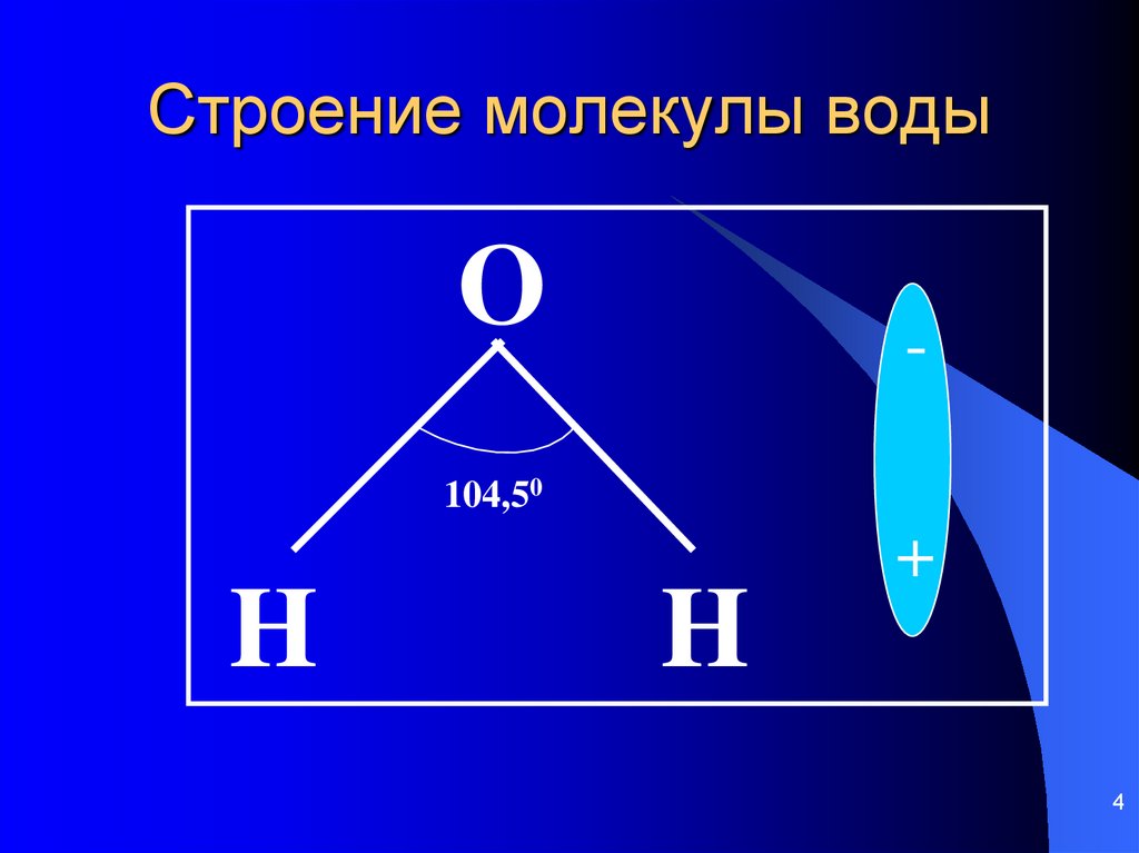 Схема строения молекулы