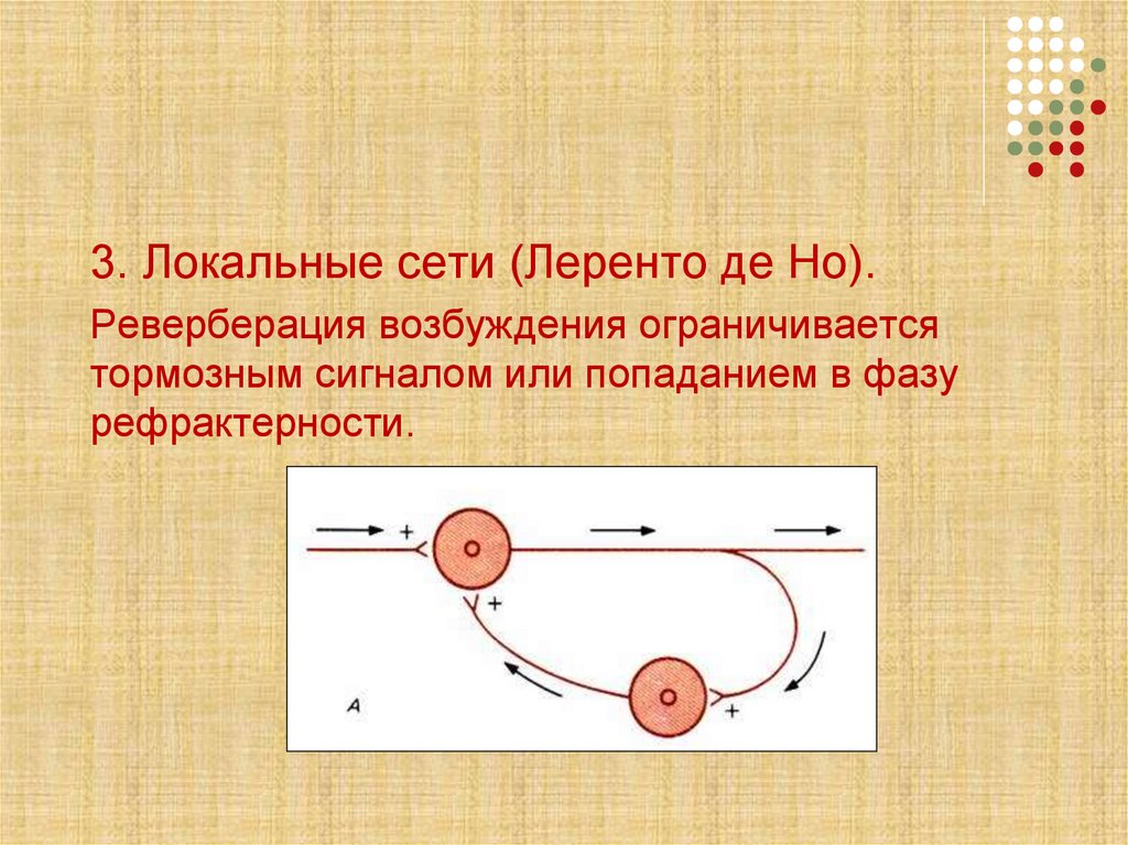 Реверберация это. Реверберация физиология. Реверберация возбуждения. Реверберация возбуждения в нервной сети по Лоренто-де-но;. Схема ревербации возбуждения.