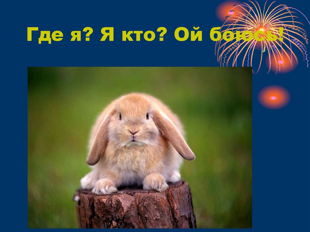 Где я? Я кто? Ой боюсь!