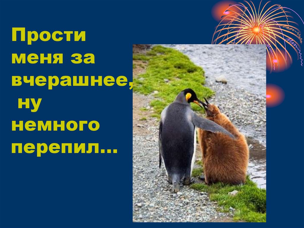 Прости меня за вчерашнее, ну немного перепил…