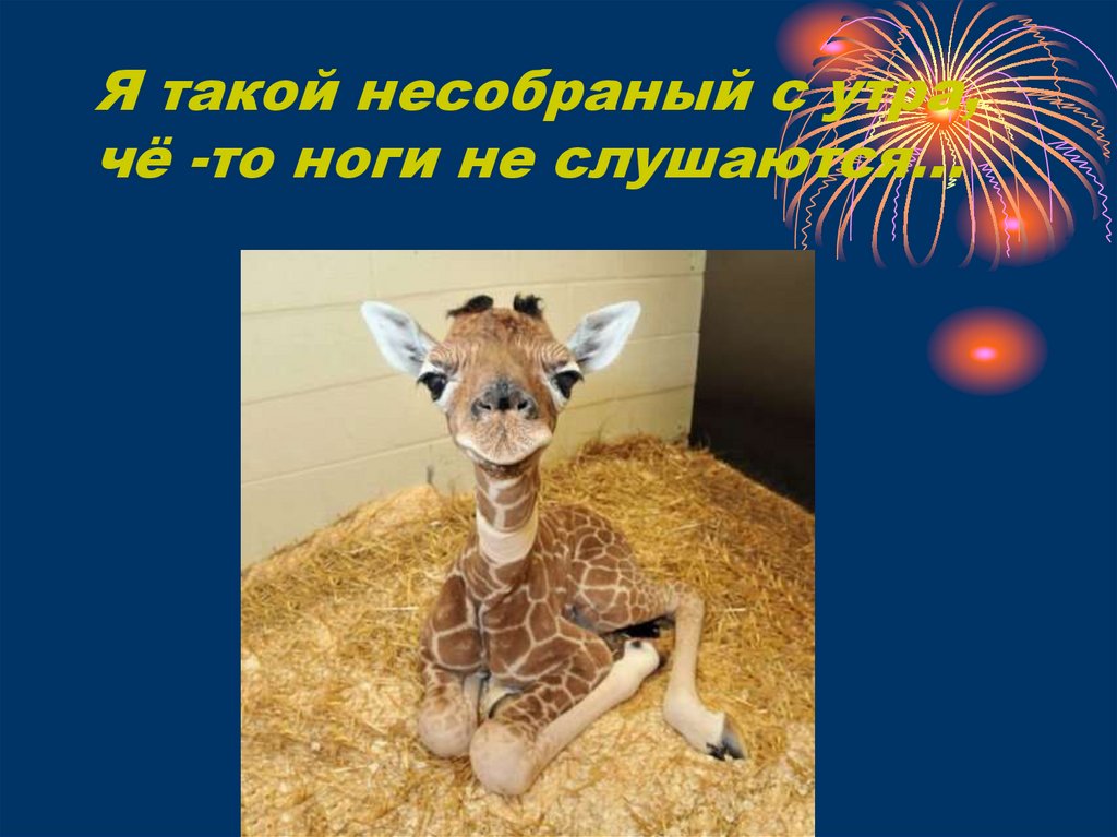 Я такой несобраный с утра, чё -то ноги не слушаются…