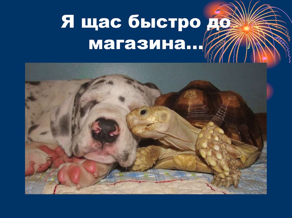 Я щас быстро до магазина…