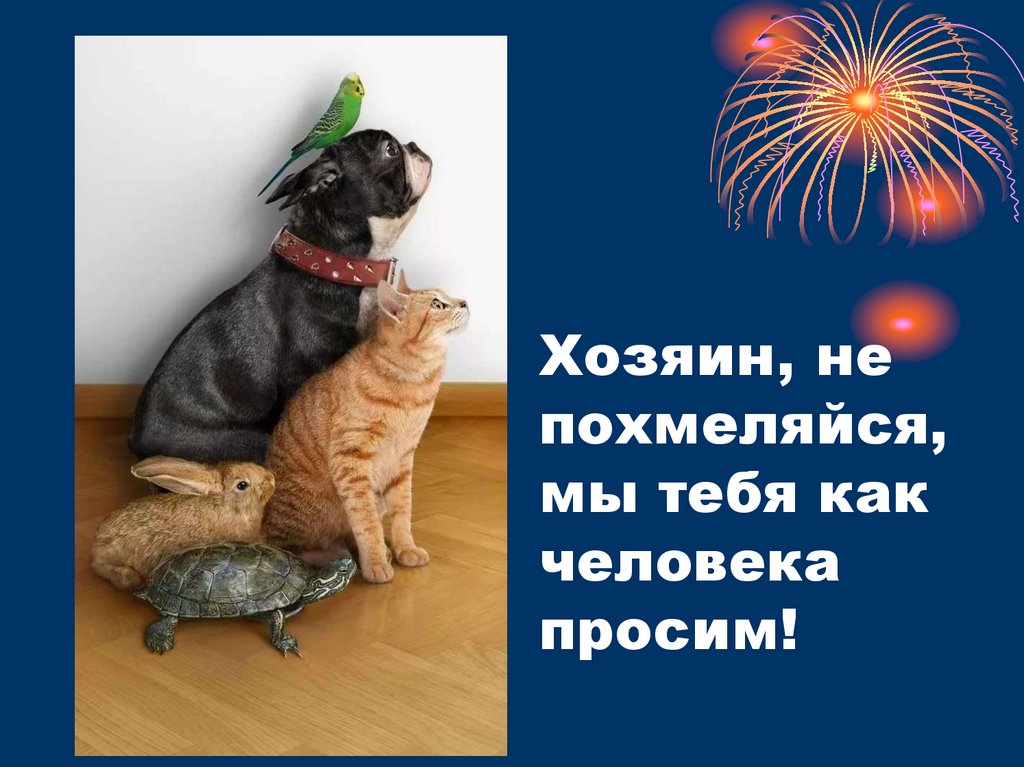 Хозяин, не похмеляйся, мы тебя как человека просим!