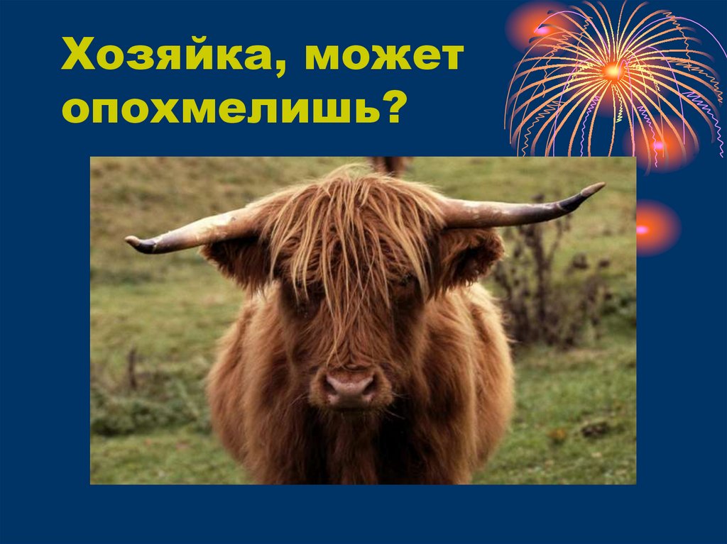 Хозяйка, может опохмелишь?