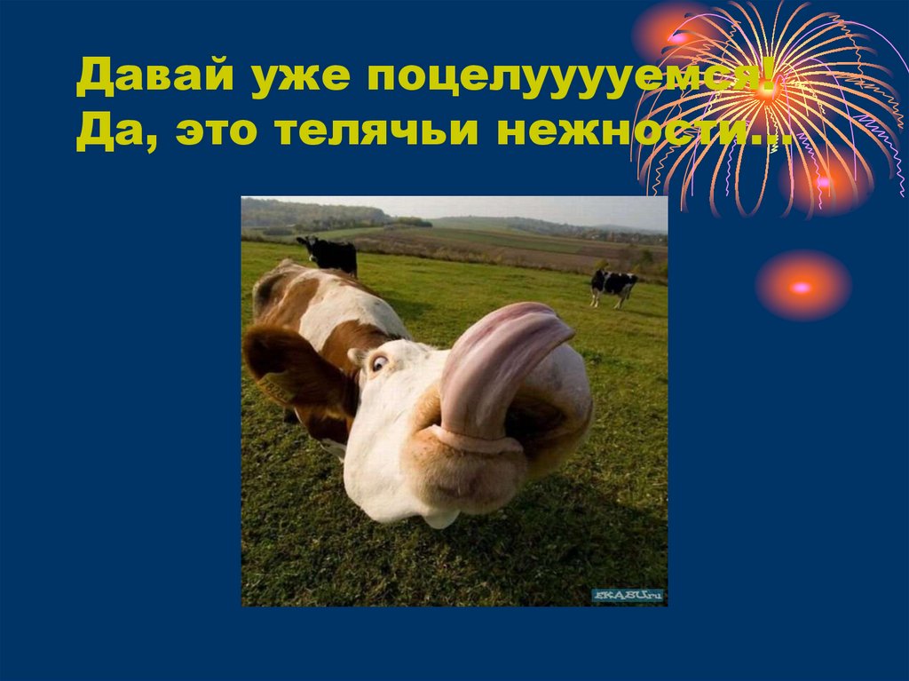 Давай уже поцелууууемся! Да, это телячьи нежности…