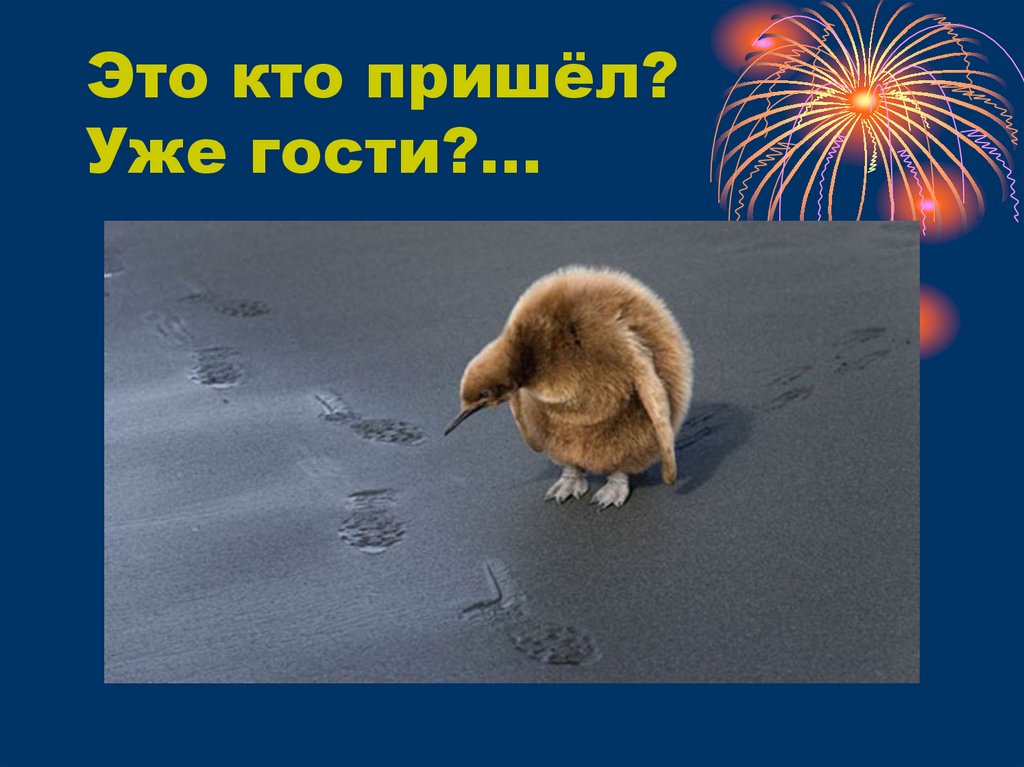 Это кто пришёл? Уже гости?...