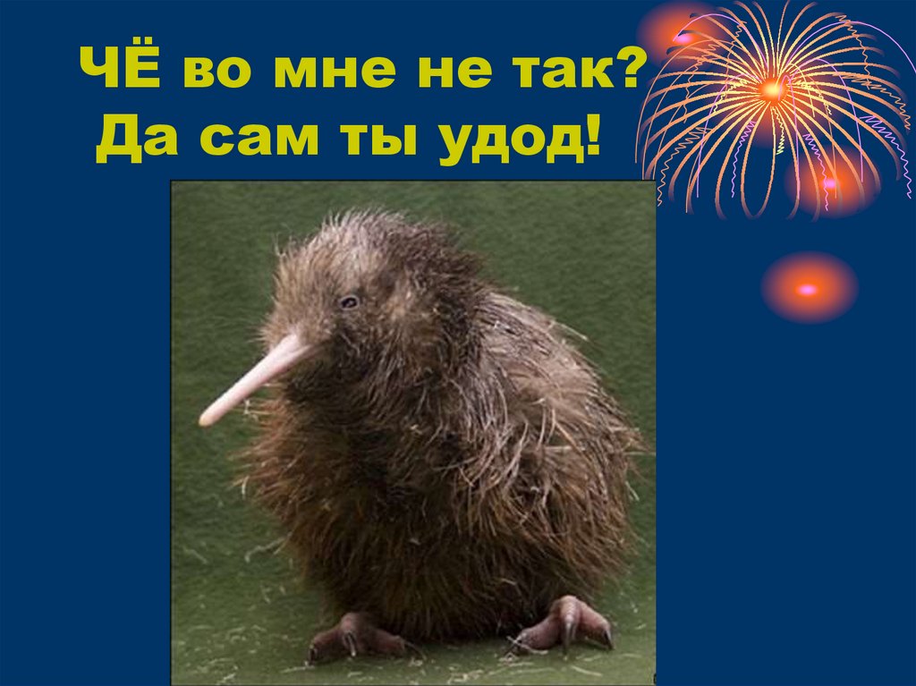 ЧЁ во мне не так? Да сам ты удод!