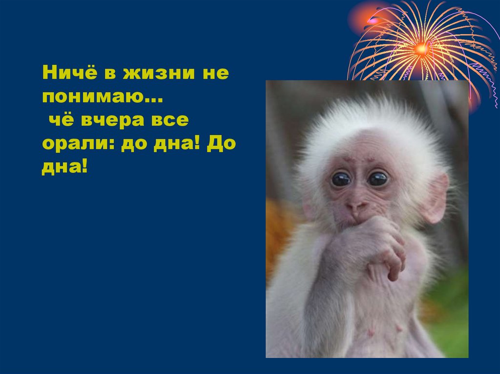 Ничё в жизни не понимаю… чё вчера все орали: до дна! До дна!