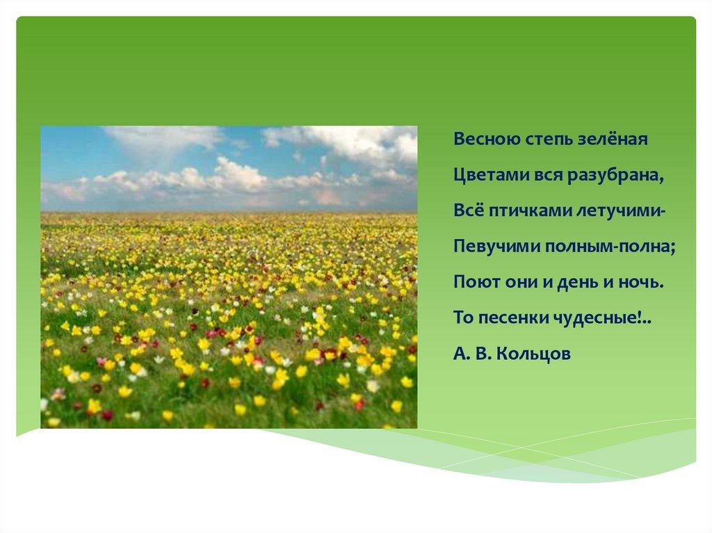Стихи о весне - online presentation