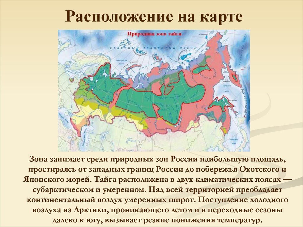 Лесная зона занимает большую часть климатического. Территория тайги на карте России. Природные зоны России Тайга. Тайга на карте России природных зон. Расположение природных зон.