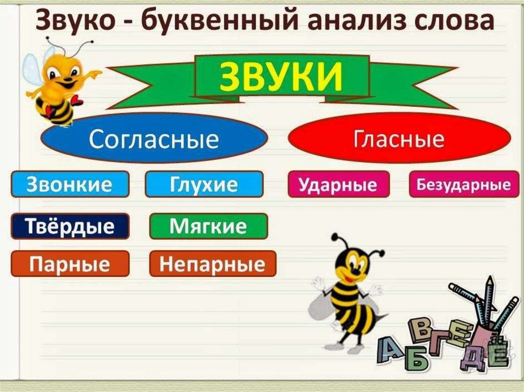 Схема звуковая слова школа