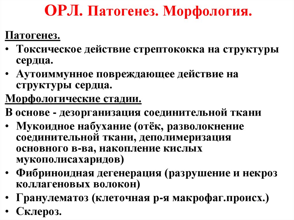 Орл протокол