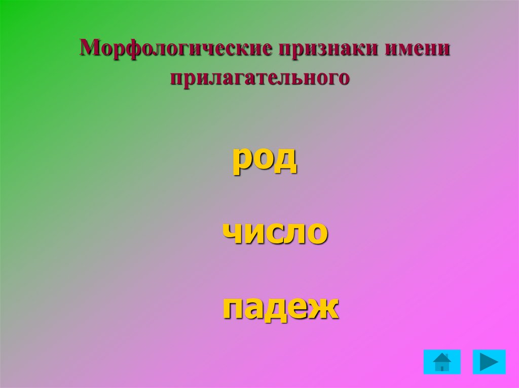 Морфологические особенности имени прилагательного