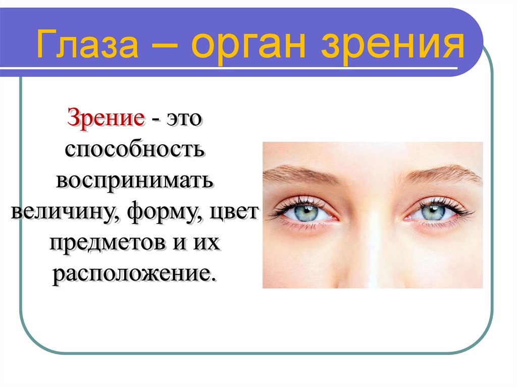 Презентация по теме глаза и зрение