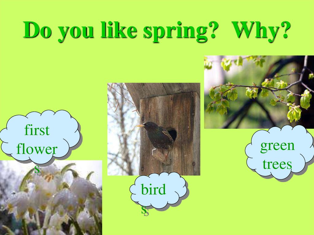 Do you like spring? Why?