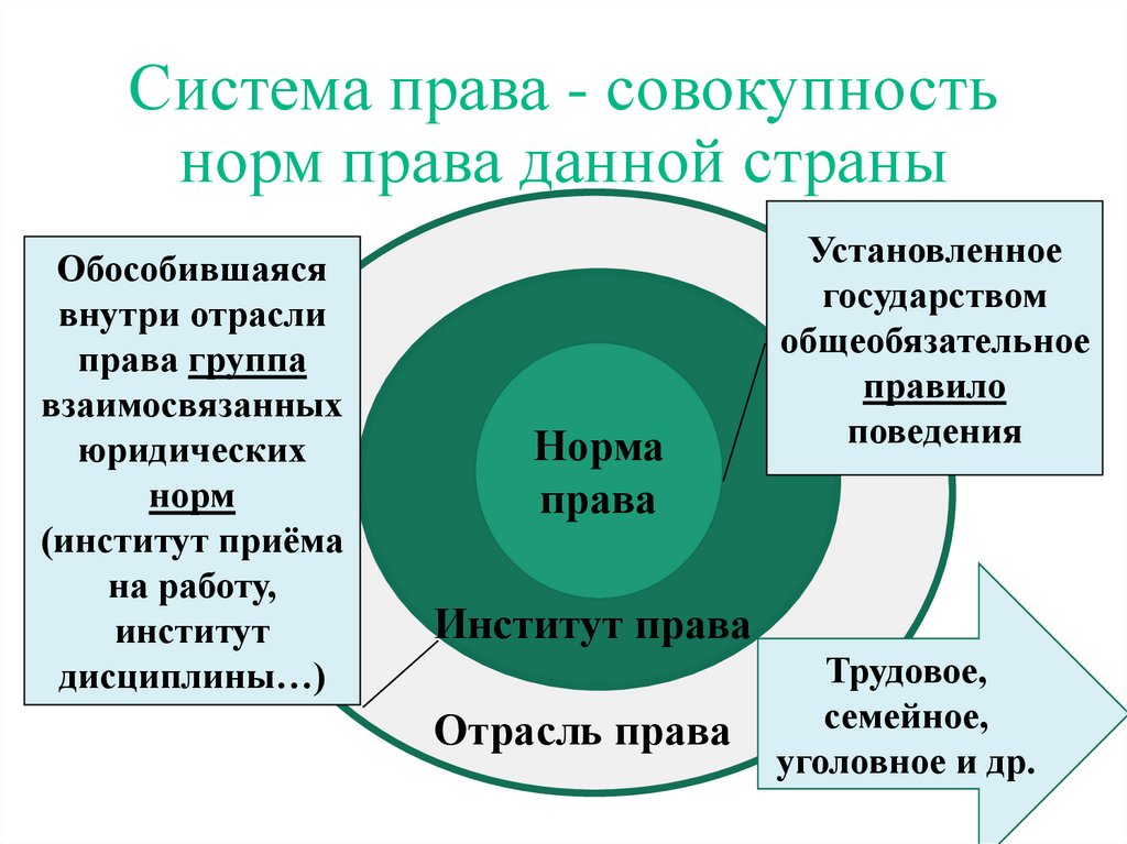 План право в системе соц норм план