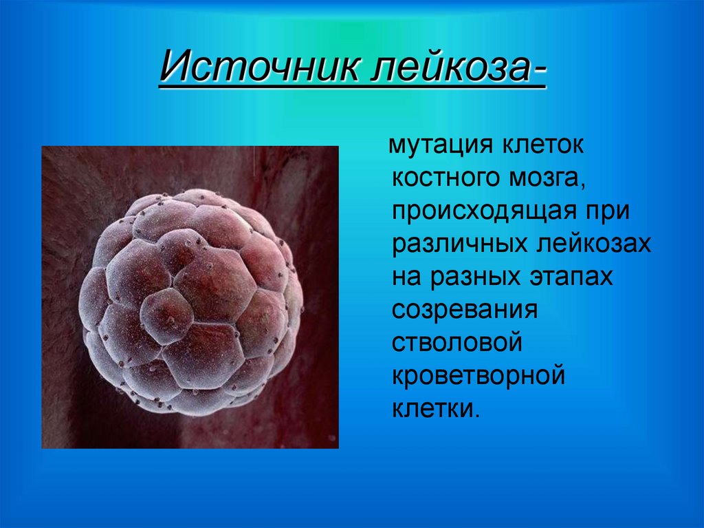 Источник лейкоза-