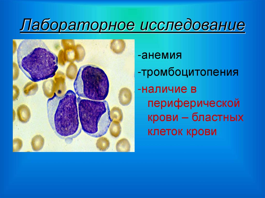 Лабораторное исследование