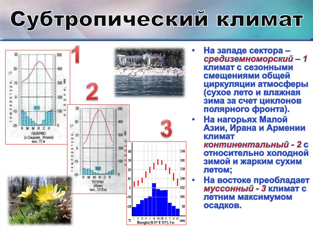 Субтропический климат воздух