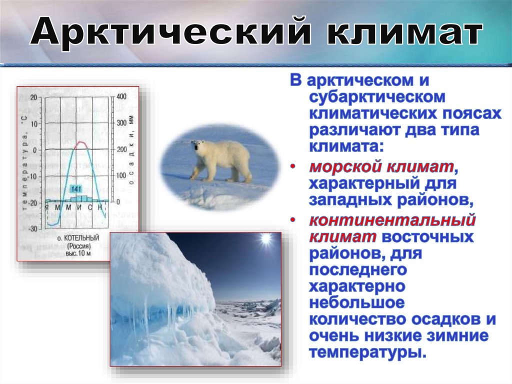 Арктический климат